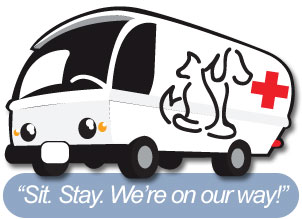 Sit Stay We're On Our Way Van Banner